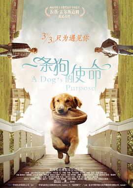 骚少妇视频