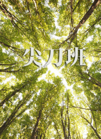 欧美午夜三级